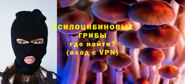 гидропоника Богородицк