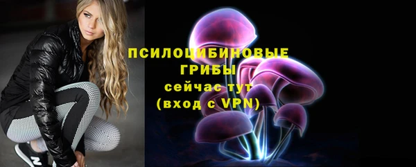 хмурый Богородск