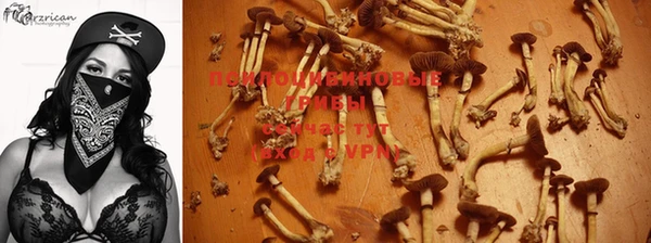 гидропоника Богородицк